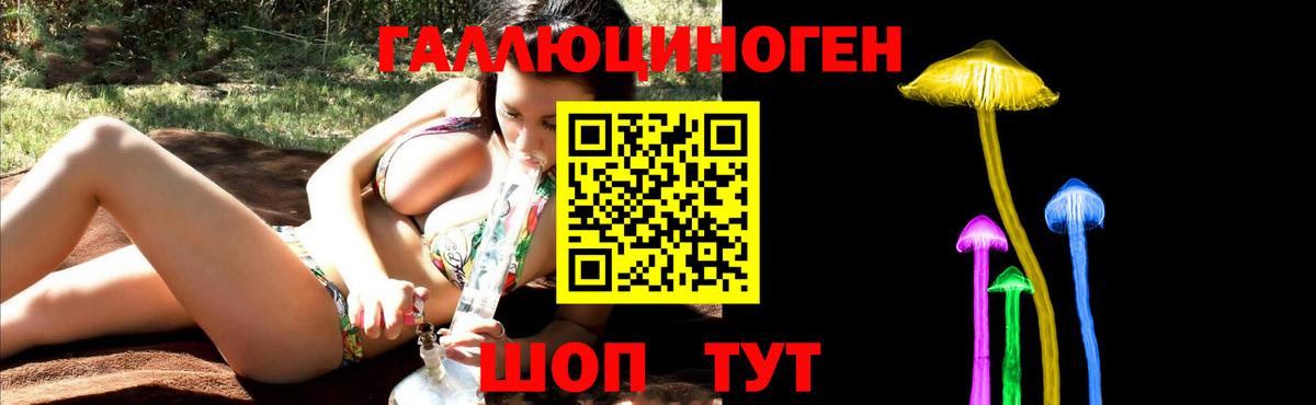 Псилоцибиновые грибы Psilocybe Славянск-на-Кубани